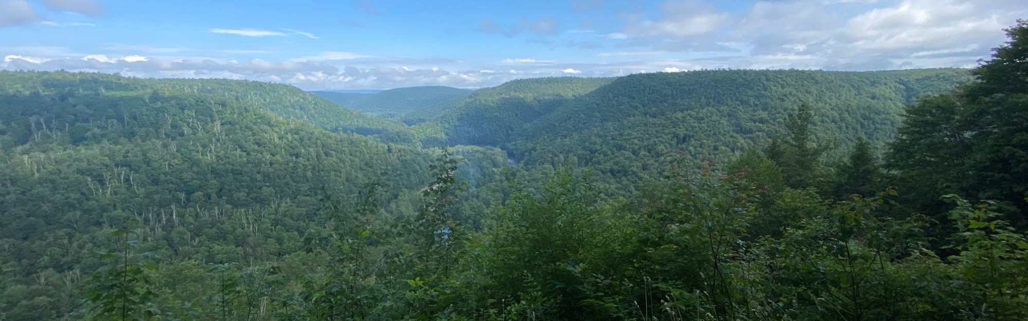 Shutterstock_2466889883